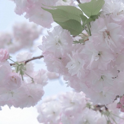 兽设毛发刻画细节Furry群