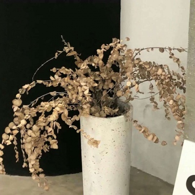 Furry数位板绘画教程福瑞群